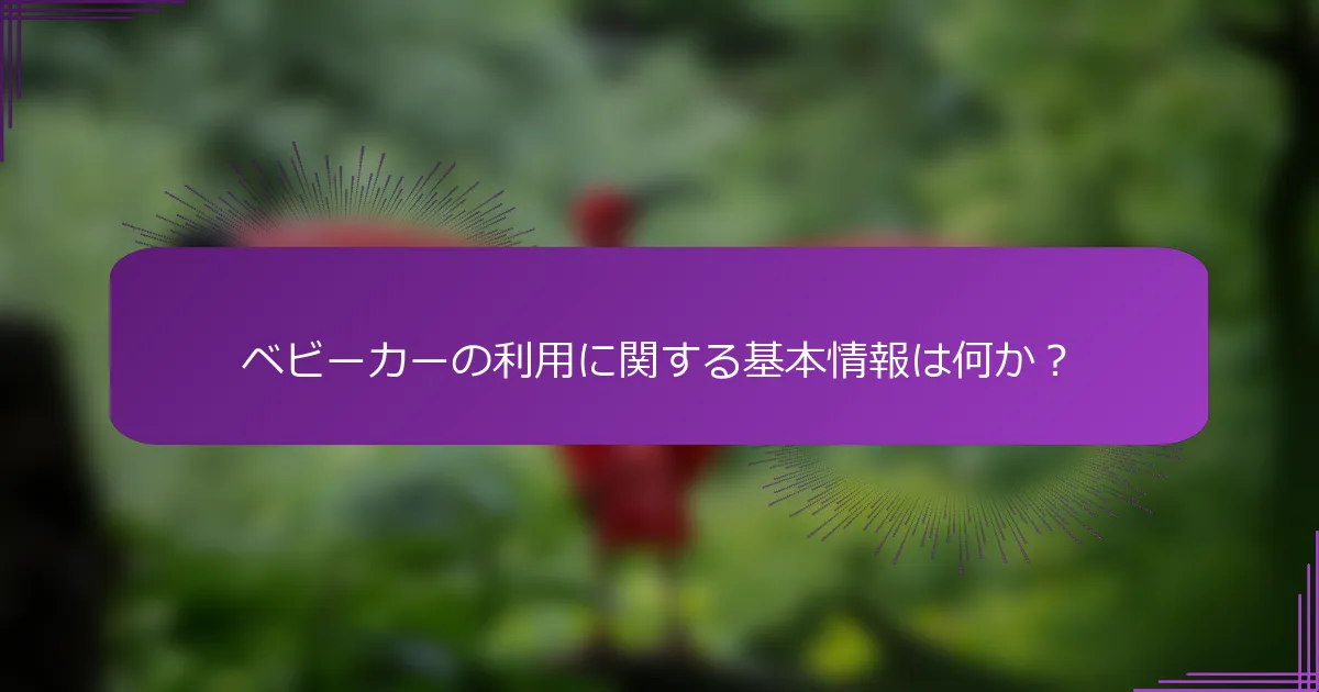 ベビーカーの利用に関する基本情報は何か？