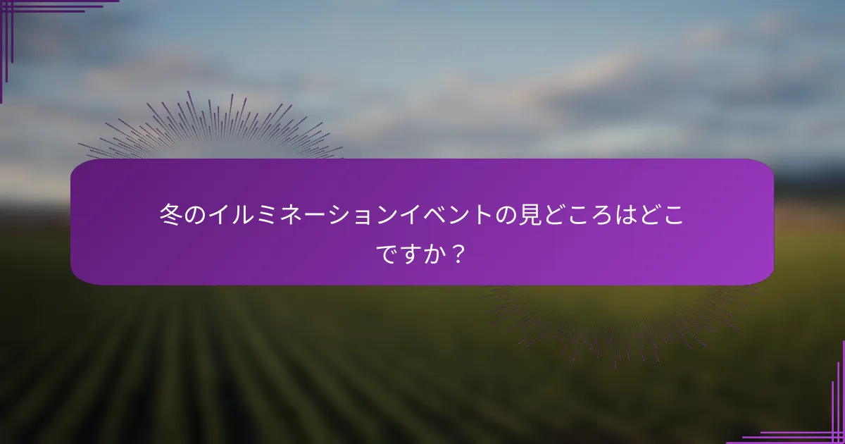 冬のイルミネーションイベントの見どころはどこですか？
