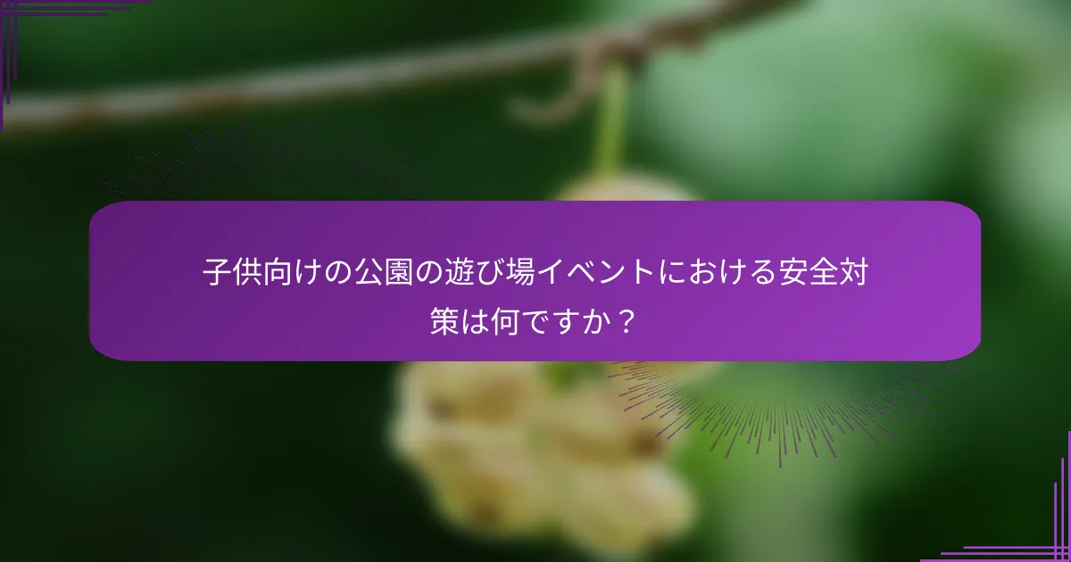 子供向けの公園の遊び場イベントにおける安全対策は何ですか？